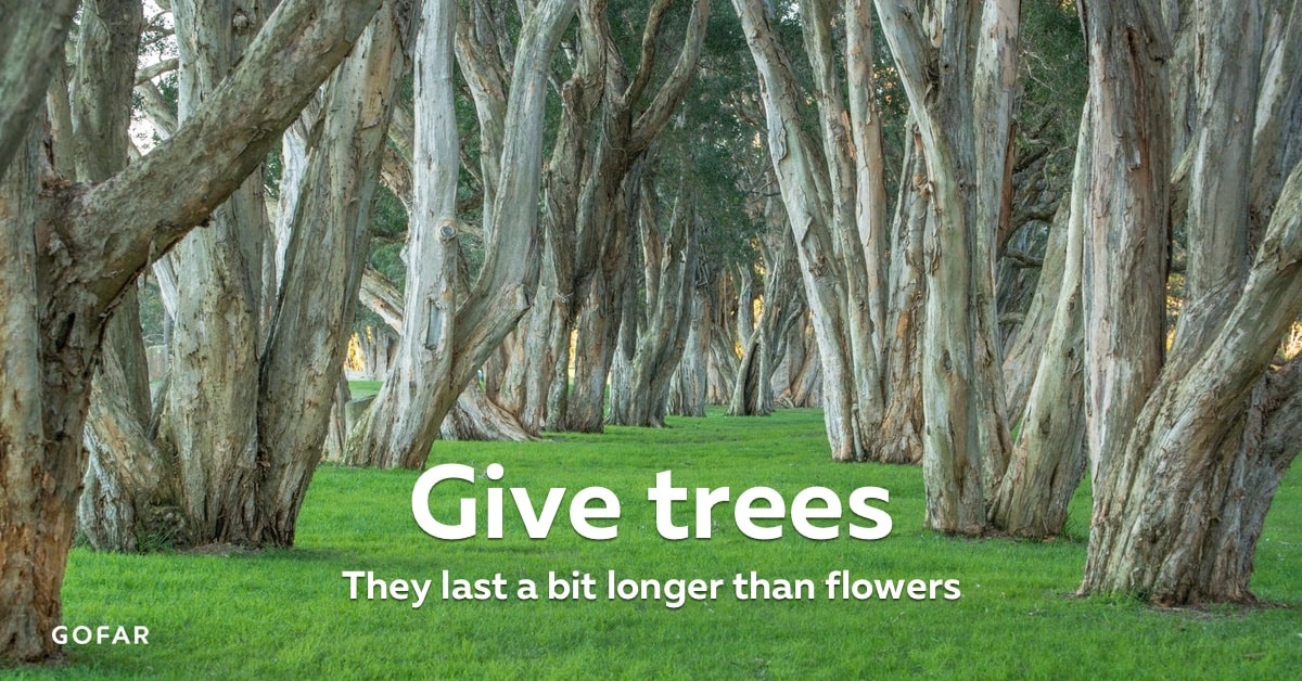 Give Trees - They last a bit longer than flowers